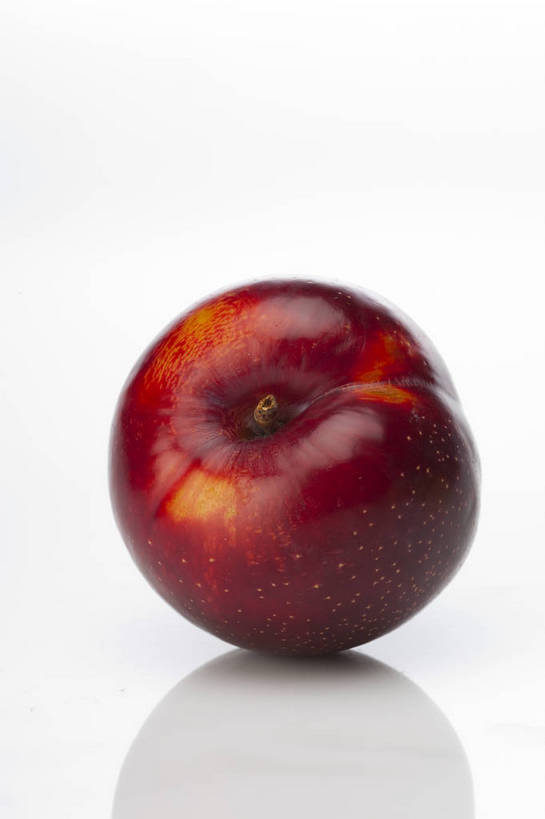 竖图,彩色,室内,特写,抠图,白色背景,李子,水果,中国,亚洲,完整,新鲜,光泽,图片,美味,食品,暗红,营养,食物,一个,紫色,摄影,无公害,东亚,黑布林,健康食品,布冧,影棚拍摄,中国李,bj174