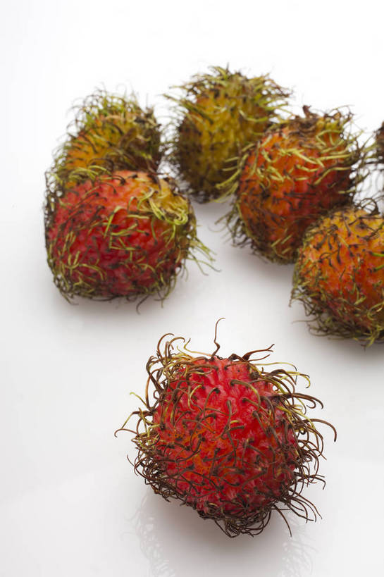 竖图,彩色,室内,特写,抠图,白色背景,水果,中国,亚洲,完整,锐利,新鲜,图片,美味,食品,营养,食物,排列,红色,多个,摄影,红毛丹,锋利,尖锐,表皮,无公害,东亚,健康食品,韶子,毛龙眼,毛荔枝,影棚拍摄,bj174