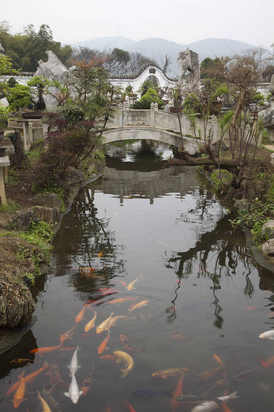 无人,公园,竖图,彩色,室外,白天,旅游,树林,标志建筑,地标,建筑,黄果树,中国,金鱼,图片,水塘,小河,拱门,建筑群,桥,古典,建设,石桥,古镇,天空,假山,旅游胜地,安静,竖,摄影,水乡,园林,文明,中国文化,贵州,古代文明,旅行,bj174