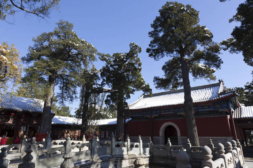 无人,公园,寺庙,横图,彩色,室外,白天,旅游,名胜古迹,植物,标志建筑,地标,建筑,北京,中国,亚洲,节日,图片,建筑群,首都,古典,文化,建设,树,树木,绿色,天空,自然,祈祷,健康,旅游胜地,安静,许愿,摄影,宗教,佛教,信仰,生长,成长,纪念,石栏,祈求,文明,中国文化,东亚,香山,海淀区,香山公园,中华人民共和国,北京市,京,北平,华北地区,释教,古代文明,平安,旅行,传统文化,静宜园,碧云寺,bj174