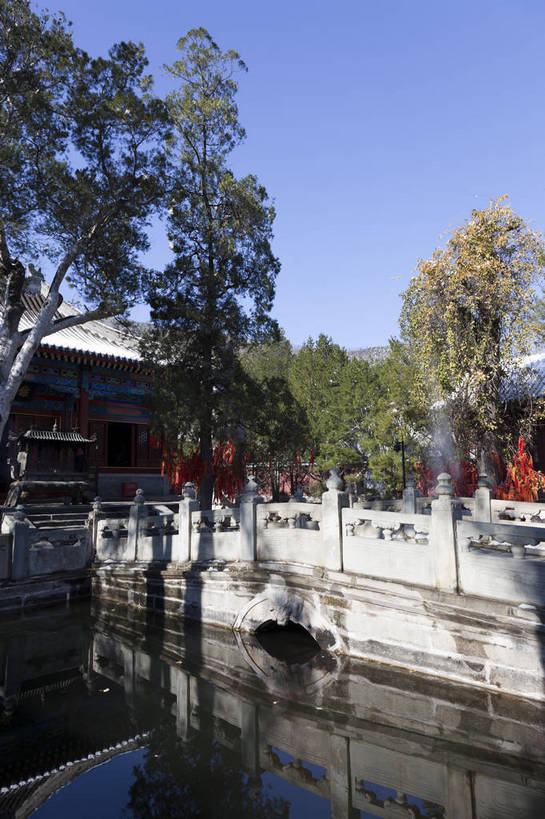 无人,公园,寺庙,竖图,彩色,室外,白天,旅游,名胜古迹,植物,标志建筑,地标,建筑,北京,中国,亚洲,节日,图片,建筑群,首都,古典,文化,建设,树,树木,绿色,天空,自然,祈祷,健康,旅游胜地,安静,竖,许愿,摄影,宗教,佛教,信仰,生长,成长,纪念,石栏,祈求,文明,中国文化,东亚,香山,海淀区,香山公园,中华人民共和国,北京市,京,北平,华北地区,释教,古代文明,平安,旅行,传统文化,静宜园,碧云寺,bj174