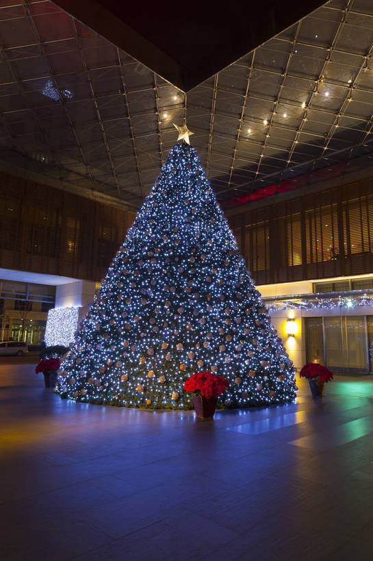 无人,广场,竖图,彩色,室外,旅游,建筑,酒店,夜景,礼盒,礼物,北京,中国,圣诞节,节日,图片,圣诞树,辉煌,现代建筑,喜庆,旅游胜地,摄影,经济,文明,中国文化,气氛,发展,灯火辉煌,繁荣,旅行,bj174