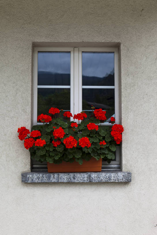 竖图,彩色,室外,特写,白天,旅游,度假,美景,名胜古迹,标志建筑,道路,地标,建筑,街道,路,公路,瑞士,遗迹,图片,窗,景观,建筑群,交通,古典,古迹,文物,娱乐,建设,古建筑,花,享受,休闲,旅游胜地,景色,放松,摄影,阿尔卑斯,文明,古文明,世界文化遗产,古代文明,马路,旅行,传统文化,bj174