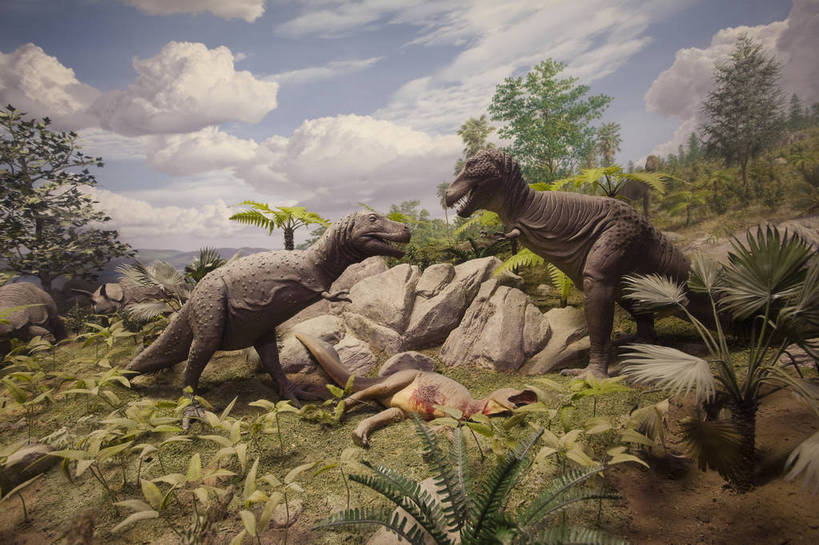 无人,博物馆,横图,彩色,室内,特写,白天,旅游,建筑,雕塑,华盛顿,美国,科学,化石,标本,雕像,图片,辉煌,历史,现代建筑,动物,旅游胜地,摄影,恐龙,展览,科普,文明,细节,猎杀,发展,繁荣,旅行,国家自然历史博物馆,bj174