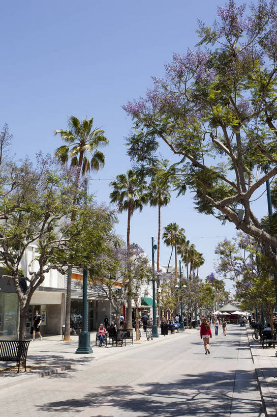 商店,竖图,彩色,室外,白天,旅游,美景,城市风光,步行街,城市,道路,建筑,街道,路,公路,美国,游客,花坛,图片,景观,交通,辉煌,现代建筑,商业街,旅游胜地,景色,摄影,风光,北美,北美洲,文明,加利福尼亚,美洲,发展,加州,洛杉矶,加利福尼亚州,金州,黄金州,北亚美利加洲,亚美利加洲,圣塔莫尼卡,繁荣,天使之城,马路,旅行,美利坚合众国,bj174