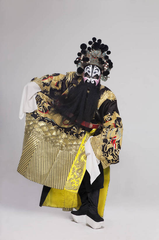 中年人,一个人,演员,竖图,彩色,白色背景,正面,化妆,北京,中国,亚洲,仅一个人,表演,艺术,造型,鲜艳,头饰,图片,注视,文化,脸谱,观察,看,站着,表情,展示,姿势,摄影,服饰,观看,功夫,动作,察看,关注,中国文化,戏剧,民族服饰,演出服,京剧,东亚,戏曲,国粹,官员,男人,中年男性,中国人,全身,影棚拍摄,化装,中国戏曲,传统文化,丞相,舞台妆,角色,花脸,净,bj174