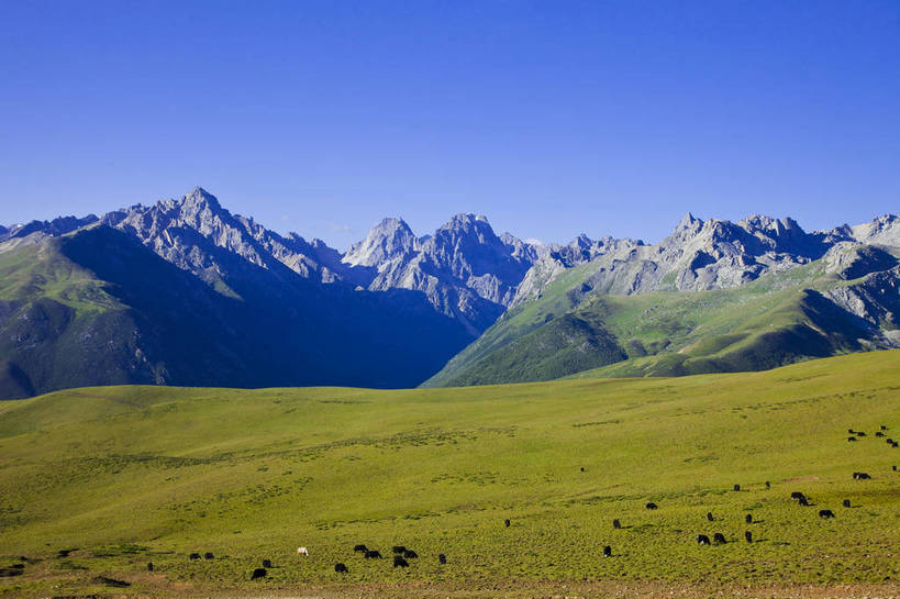 无人,横图,彩色,室外,白天,旅游,度假,草地,美景,名胜古迹,山,山脉,雪山,标志建筑,地标,建筑,牛,羊,中国,亚洲,放牧,节日,遗迹,图片,古迹,文化,文物,娱乐,建设,古建筑,白云,风景,蓝天,天空,自然,祈祷,享受,休闲,健康,远景,旅游胜地,放松,许愿,摄影,宗教,地理,佛教,信仰,四川省,纪念,风光,宁静,祈求,空旷,自然风光,古文明,东亚,四川,喇嘛教,藏传佛教,甘孜藏族自治州,玛尼石,中华人民共和国,西南地区,川,甘孜,甘孜州,释教,平安,藏语系佛教,西藏佛教,嘛呢石,玛尼堆,bj174