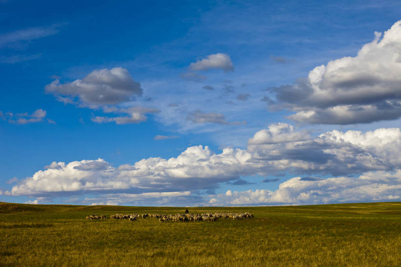 无人,横图,彩色,室外,白天,旅游,度假,畜牧业,草地,草原,名胜古迹,田园,标志建筑,地标,建筑,羊,中国,亚洲,放牧,遗迹,图片,田野,羊群,古迹,文物,娱乐,建设,古建筑,白云,蓝天,自然,平原,享受,休闲,旅游胜地,放松,蒙,摄影,风光,古文明,东亚,内蒙古,包头,畜牧,中华人民共和国,华北地区,牧业,内蒙古自治区,包头市,旅行,达尔罕茂明安联合旗,达茂旗,希拉穆仁草原,bj174