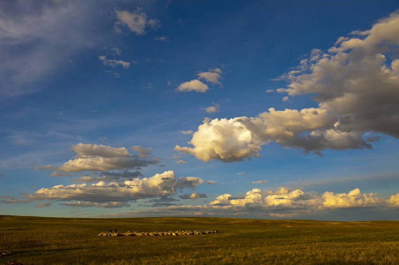 无人,横图,彩色,室外,白天,旅游,度假,畜牧业,草地,草原,名胜古迹,田园,标志建筑,地标,建筑,羊,中国,亚洲,放牧,遗迹,图片,田野,羊群,古迹,文物,娱乐,建设,古建筑,白云,蓝天,自然,平原,享受,休闲,旅游胜地,放松,蒙,摄影,风光,古文明,东亚,内蒙古,包头,畜牧,中华人民共和国,华北地区,牧业,内蒙古自治区,包头市,旅行,达尔罕茂明安联合旗,达茂旗,希拉穆仁草原,bj174