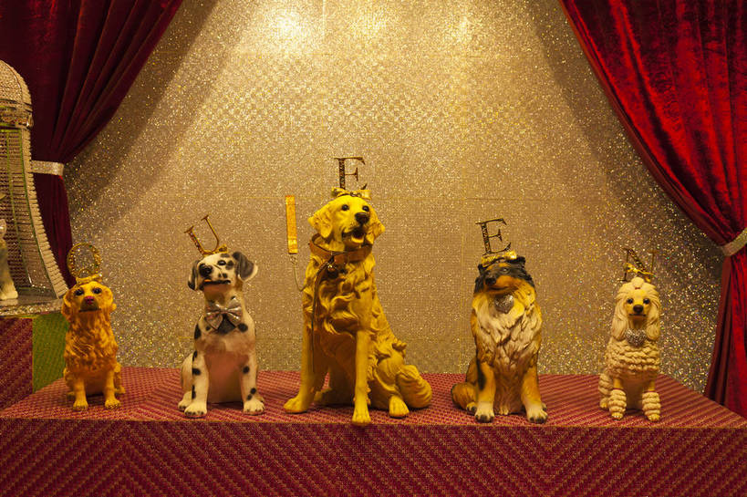 无人,舞台,横图,彩色,室内,特写,白天,旅游,建筑,宠物,狗,雕塑,济州岛,韩国,图片,展示,俱乐部,摄影,游乐场所,韩国文化,旅行,传统文化,bj174