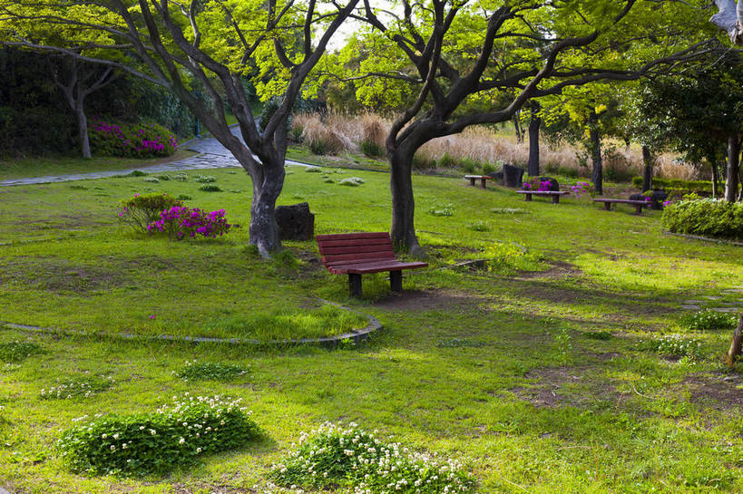 无人,公园,横图,彩色,室外,白天,旅游,草地,草坪,酒店,济州岛,首尔,汉城,韩国,亚洲,图片,野花,首都,旅游胜地,摄影,外景,东亚,大韩民国,首尔市,首尔特别市,特别市,乐天冒险世界,主题公园,韩国文化,旅行,传统文化,南朝鲜,南韩,世界乐天酒店,bj174