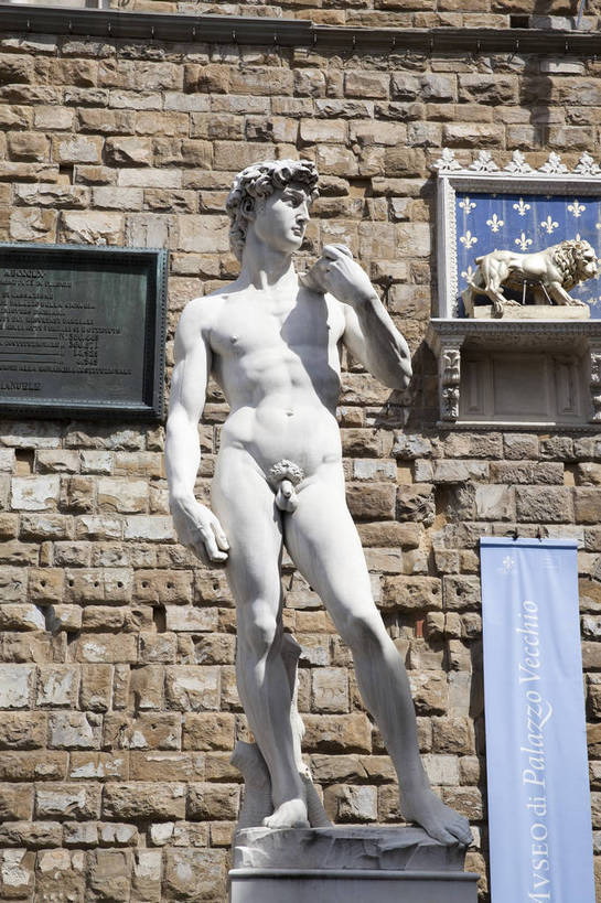 竖图,彩色,室外,特写,白天,旅游,度假,名胜古迹,标志建筑,地标,建筑,雕塑,意大利,佛罗伦萨,欧洲,遗迹,雕像,图片,墙,建筑群,古典,古迹,文物,娱乐,建设,古建筑,地标建筑,享受,休闲,旅游胜地,放松,竖,摄影,国王,托斯卡纳,南欧,文明,古文明,世界文化遗产,意大利共和国,首府,大卫,百花之城,翡冷翠,托斯卡纳大区,米开朗基罗广场,米开朗琪罗广场,以色列国王,大卫王,旅行,传统文化,佛罗伦斯,佛罗伦斯省,bj174