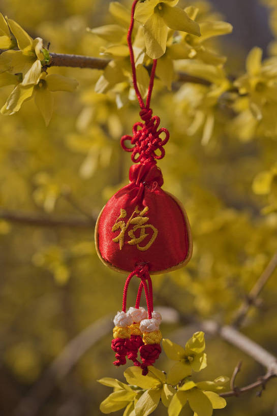 公园,竖图,彩色,室外,特写,白天,背景,旅游,度假,名胜古迹,标志建筑,地标,建筑,北京,中国,悬挂,遗迹,图片,古迹,文物,娱乐,建设,古建筑,花卉,自然,福字,工艺品,中国结,享受,休闲,香包,旅游胜地,放松,竖,摄影,风光,古文明,旅行,玉渊潭公园,bj174