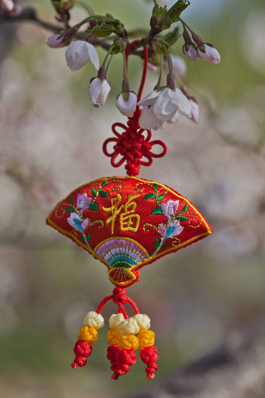 公园,竖图,彩色,室外,特写,白天,背景,旅游,度假,名胜古迹,标志建筑,地标,建筑,刺绣,北京,中国,悬挂,遗迹,图片,古迹,文物,娱乐,建设,古建筑,花卉,自然,福字,中国结,享受,休闲,香包,旅游胜地,放松,竖,摄影,风光,古文明,旅行,玉渊潭公园,bj174