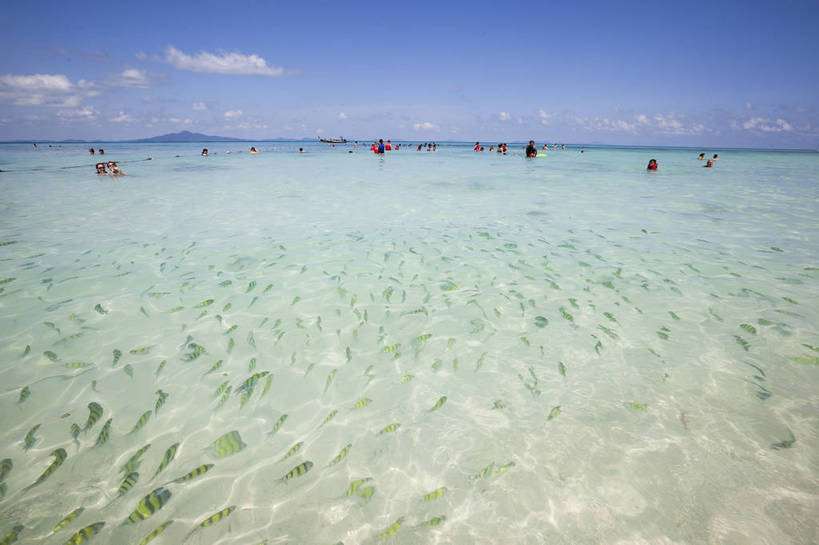 游泳,横图,彩色,室外,特写,白天,旅游,度假,美景,名胜古迹,沙滩,标志建筑,地标,建筑,泰国,亚洲,游客,遗迹,图片,海平面,古迹,文物,娱乐,建设,古建筑,普吉岛,自然,海水,享受,休闲,旅游胜地,放松,摄影,东南亚,海滨,古文明,泰王国,皮皮岛,普吉,披披岛,甲米府,海,海滩,旅行,大皮皮岛,竹子岛,bj174