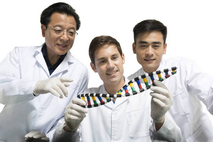 东方人,西方人,中年人,老年人,三个人,伙伴,药剂师,科学家,横图,彩色,室内,白天,抠图,白色背景,正面,友谊,成功,合作,机器,实验,研发,分子,科技,北京,中国,欧洲人,服装,研究,科学,化学,图片,实验室,设备,衣服,白色,模型,健康,机械,成熟,活力,自信,摄影,服饰,科研,培育,衣着,白大褂,工作装,原子,穿着,化验,检验,实验服,粒子,精明,衣饰,化学家,研讨,试验,协作,老年男性,男人,男性,年轻男性,中年男性,亚洲人,中国人,年轻人,科学工作者,半身,影棚拍摄,愉快,实验衣,bj174