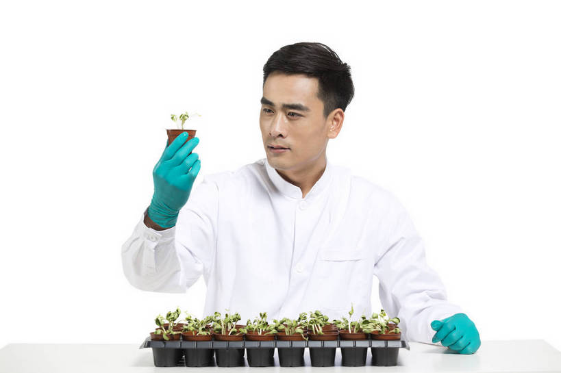 东方人,中年人,药剂师,科学家,横图,彩色,室内,白天,抠图,白色背景,正面,成功,机器,实验,研发,科技,植物,北京,中国,仅一个人,服装,研究,科学,图片,实验室,设备,衣服,白色,健康,机械,成熟,活力,自信,摄影,服饰,科研,培育,衣着,白大褂,工作装,穿着,化验,检验,实验服,精明,衣饰,化学家,试验,男人,男性,年轻男性,亚洲人,中国人,年轻人,科学工作者,半身,影棚拍摄,愉快,实验衣,bj174