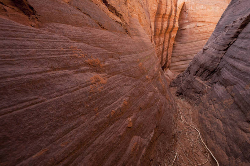 无人,横图,全景,室外,白天,正面,旅游,度假,美景,山,山脉,峡谷,日光,中国,亚洲,壮观,纹理,地形,景点,景观,山路,娱乐,东方,红色,风景,自然,享受,休闲,景色,放松,幻想,摄影,风光,干旱,自然风光,神奇,外景,东亚,地貌,丹霞地貌,陕西,陕西省,出色,杰出,卓越,奇妙,中华人民共和国,西北地区,陕,榆林,榆林市,独特,地质学,波浪谷,彩图,旅行,地势,靖边,靖边县,bj174