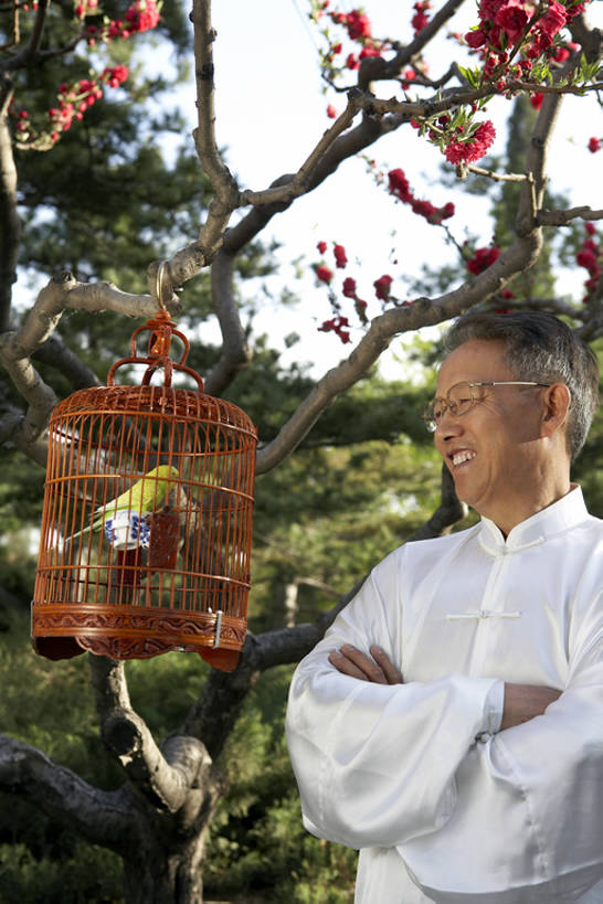 东方人,成年人,老年人,头发,一个人,公园,笑,双手交叉,微笑,露齿笑,竖图,室外,白天,侧面,快乐,满意,友谊,幸福,宠物,鸟,鹦鹉,北京,中国,亚洲,仅一个男性,仅一个人,吊挂,悬挂,鸟类,丝绸,眼镜,鸟笼,挂,传统,花,树,一只,衣服,绿色,蓝天,自然,动物,春天,站着,仅一个老年男性,休闲,健康,放松,个性,可爱,想,摄影,活泼,生活方式,宁静,协调,退休,双手抱胸,享乐,中国文化,东亚,观赏鸟,爱情鸟,牡丹鹦鹉,情侣鹦鹉,红牡丹鹦鹉,蜡嘴鹦鹉,老年男性,男人,男性,亚洲人,中国人,休闲活动,半身,彩图,传统服装,欢乐,伴侣,传统文化,人老心不老,缎子,bj175