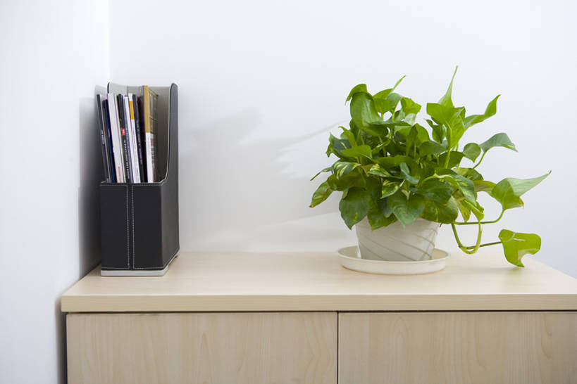 无人,办公室,横图,室内,正面,商务,植物,静物,杂志,笔筒,雕塑,艺术,装饰,雕刻,雕像,盆栽,文件,办公用品,盆景,文件夹,现代,书桌,文具,花,树叶,绿色,自然,容器,学习用品,工艺品,舒服,器皿,摄影,生长,生活方式,成长,纪念,储藏,文具用品,环境,美术,储存,主题,文件盒,陈列,功能,美学,绿萝,插笔器具,文房用具,彩图,贮存,bj175