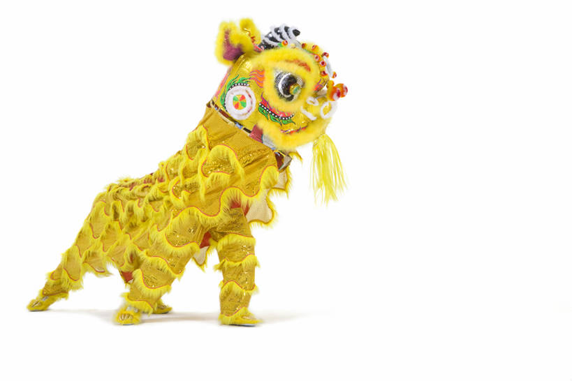 东方人,成年人,两个人,站,横图,留白,白色背景,侧面,快乐,兴奋,运气,骄傲,中国,春节,亚洲,舞狮,表演,咆哮,欢呼,朦胧,模糊,庆祝,表演者,传统,刺激,扮演,黄色,祈祷,概念,活力,力量,动作,演出,享乐,中国文化,亚洲狮,典礼,演出服,东亚,东亚文化,鬃毛,北京市,勇气,元旦,技能,男人,男性,年轻男性,亚洲人,中国人,年轻人,彩图,全身,影棚拍摄,传统服装,欢乐,舞蹈,传统文化,传统节日,bj175