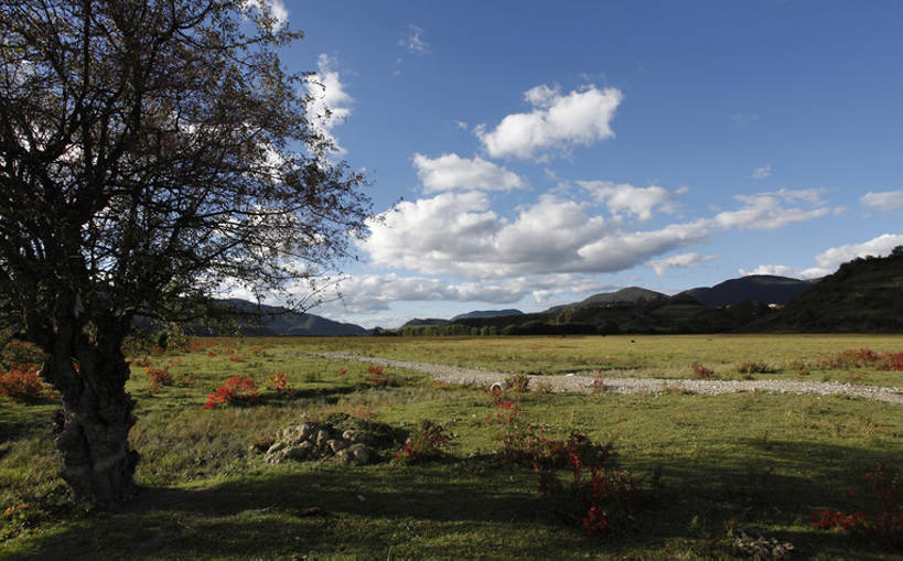 无人,横图,室外,美景,香格里拉,中国,亚洲,景观,草,树,自然,景色,摄影,自然风光,东亚,云南省,秋天,彩图,bj175