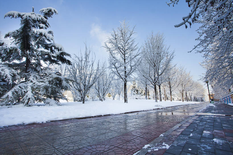 无人,公园,横图,室外,白天,消失点,美景,树林,雪,路,北京,中国,亚洲,覆盖,结冰,景观,冬天,人行道,树,蓝色,风景,天空,自然,景色,寒冷,冷,摄影,自然风光,东亚,万里无云,朝阳区,彩图,林荫大道,红领巾公园,bj175