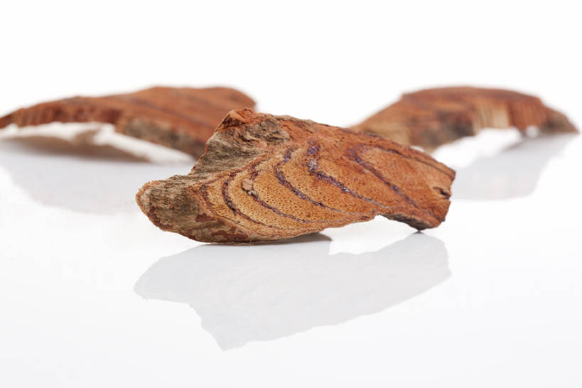 无人,横图,特写,植物,静物,北京,中国,亚洲,药,干燥,食品,草药,药草,饮食,中药,饮料,干花,摄影,有机食品,影棚,多样,医疗,中国文化,摄影棚,药材,中草药,营养品,中医,东亚,健康食物,中药材,本草,密花豆,彩图,影棚拍摄,拍摄,白花油麻藤,鸡血藤,亮叶岩豆藤,山鸡血藤,香花岩豆藤,血藤,传统文化,bj175