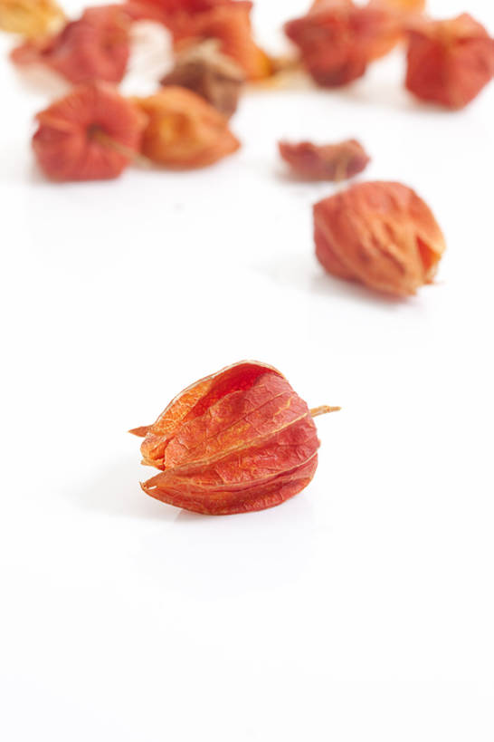 无人,竖图,特写,静物,北京,中国,亚洲,药,干燥,食品,草药,饮食,饮料,干花,摄影,有机食品,影棚,多样,医疗,中国文化,摄影棚,营养品,中医,东亚,健康食物,锦灯笼,彩图,影棚拍摄,拍摄,传统文化,bj175