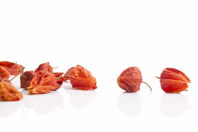 无人,横图,仰视,静物,北京,中国,亚洲,药,干燥,食品,草药,饮食,饮料,干花,摄影,有机食品,影棚,多样,医疗,中国文化,摄影棚,营养品,中医,东亚,健康食物,锦灯笼,彩图,低角度拍摄,影棚拍摄,拍摄,传统文化,bj175