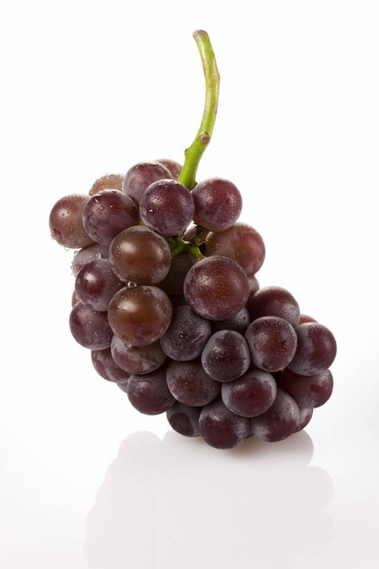 无人,竖图,室内,白色背景,正面,葡萄,静物,水果,湿,反射,液体,水滴,食品,干净,饮食,一个,白色,摄影,影棚,单个,简单,清新,摄影棚,健康食物,纯净,彩图,全身,影棚拍摄,拍摄,红葡萄,bj175