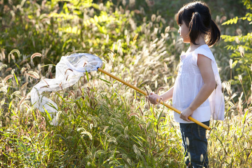 东方人,婴儿,儿童,一个人,横图,室外,白天,侧面,满意,探险,幸福,纯洁,美景,北京,中国,亚洲,握,服装,景观,田地,联系,玩,注视,休闲装,刺激,草,小孩,衣服,绿色,自然,观察,看,站着,辫子,蝴蝶网,景色,放松,活力,可爱,乐趣,茂密,探索,童年,童趣,无辜,握着,摄影,服饰,活泼,茂盛,渔网,观看,宁静,察看,舒适,享乐,衣着,穿着,关注,自然风光,宝宝,童真,东亚,纯真,烂漫,无邪,衣饰,无忧无虑,伶俐,天真,女孩,亚洲人,中国人,孩子,张开手臂,彩图,欢乐,bj175