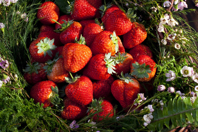 无人,横图,俯视,室内,背景,水,桌子,草莓,静物,水果,中国,丰富,篮子,木材,木纹,食品,饮品,筐,花,食物,饮料,绿色,容器,概念,健康,摄影,多样,简单,可口,东亚,健康食物,适口,彩图,高角度拍摄,bj175