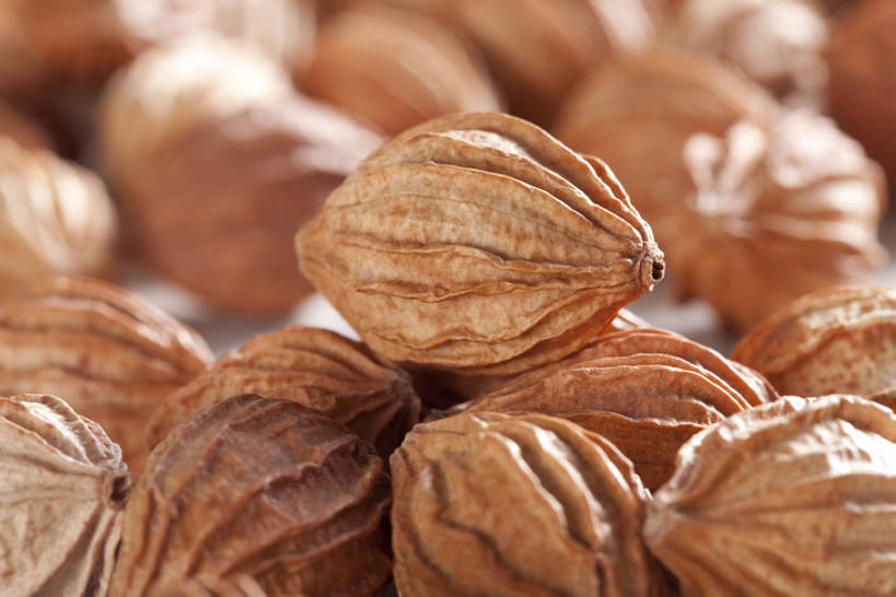 无人,横图,特写,静物,中国,亚洲,许多,准备,堆叠,丰富,干燥,材料,调料,香料,食品,草药,药草,调味品,很多,饮食,健康,摄影,中医,东亚,彩图,影棚拍摄,砂仁,成分,bj175