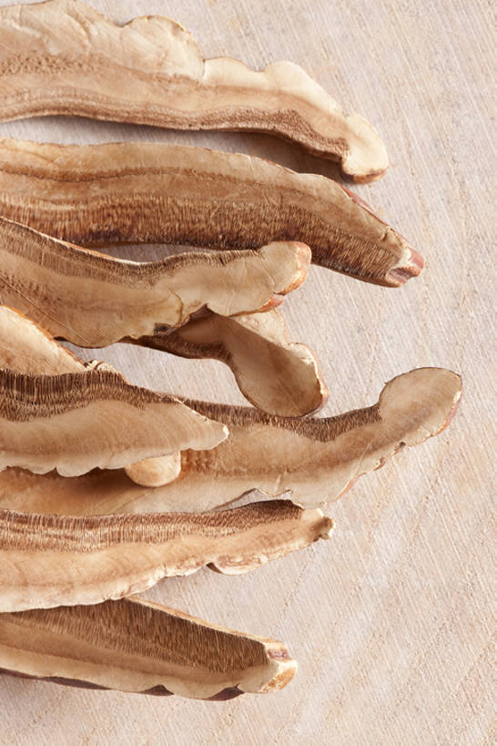 无人,竖图,俯视,灵芝,静物,中国,亚洲,准备,堆叠,干燥,材料,调料,香料,食品,草药,药草,调味品,饮食,健康,摄影,中医,东亚,彩图,高角度拍摄,影棚拍摄,成分,bj175