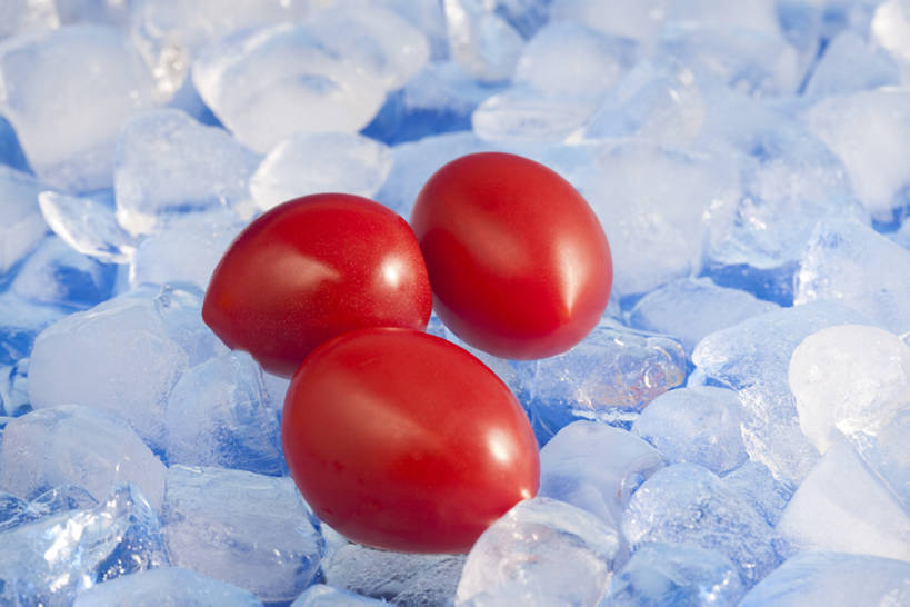 无人,横图,彩色,特写,留白,静物,水果,中国,亚洲,结冰,冰块,食品,饮食,红色,健康,素食,成熟,冷,摄影,有机食品,生活方式,五颜六色,色彩斑斓,维生素,简单,清新,横截面,五彩缤纷,东亚,健康食物,纯净,五彩斑斓,五光十色,樱桃番茄,彩图,影棚拍摄,膳食纤维,bj175