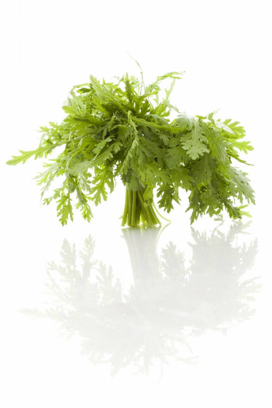 无人,竖图,留白,白色背景,农业,蔬菜,静物,叶子,捆扎,准备,堆叠,反射,食品,茎,饮品,捆,饮食,食物,饮料,绿色,摄影,有机食品,简单,可口,清新,健康食物,纯净,茼蒿,适口,彩图,影棚拍摄,bj175