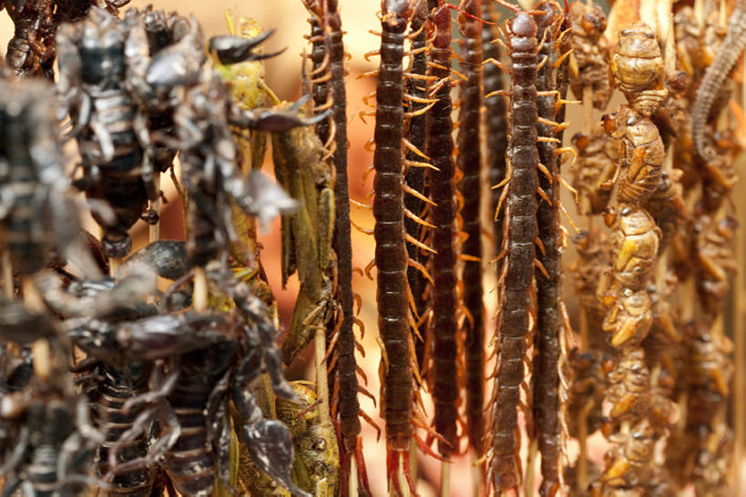 点心,无人,横图,特写,蝉,静物,北京,中国,亚洲,丰富,昆虫,油炸,美味,食品,饮品,串,货摊,小吃,饮食,餐饮,竹签,食物,特产,饮料,中国菜,零售,诱惑,摄影,多样,海马,风格,简单,可口,蝗虫,中国文化,选择,蝎子,蜈蚣,东亚,羊肉串,东亚文化,取食签,零售店,适口,烤串,海产,彩图,传统文化,街市,bj175