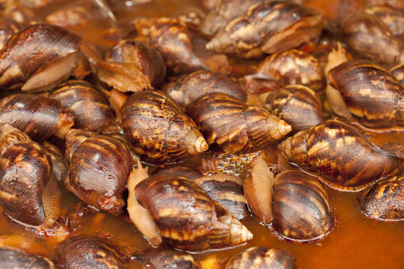 无人,横图,特写,静物,北京,中国,亚洲,许多,堆叠,丰富,蜗牛,香料,油炸,美味,食品,饮品,很多,小吃,饮食,餐饮,食物,特产,饮料,中国菜,诱惑,摄影,堆,风格,简单,可口,中国文化,东亚,东亚文化,焖菜,适口,烹调,彩图,传统文化,bj175