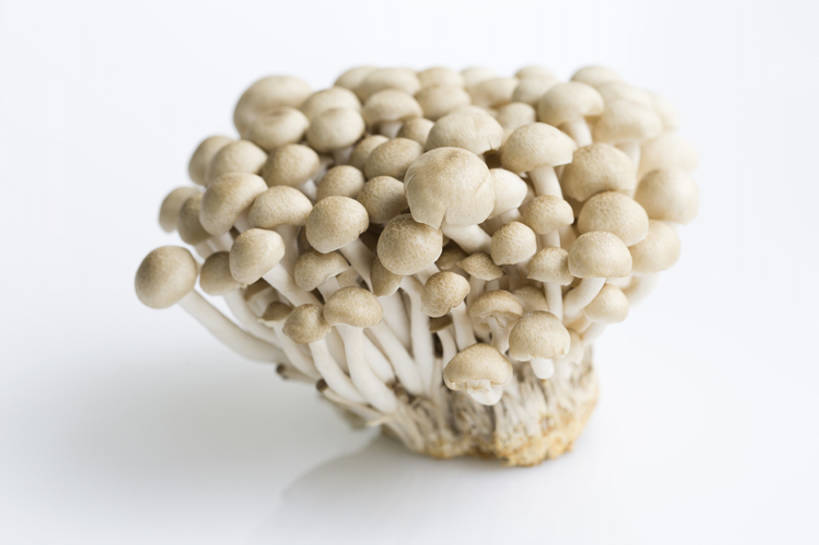 无人,横图,特写,留白,抠图,蔬菜,静物,北京,中国,亚洲,准备,灰色背景,丰富,材料,蘑菇,生食,美味,食品,饮品,营养,饮食,餐饮,食物,饮料,健康,素食,食用菌,摄影,有机食品,维生素,真菌,膳食,可口,清新,东亚,健康食物,姬菇,适口,蟹味菇,彩图,影棚拍摄,bj175