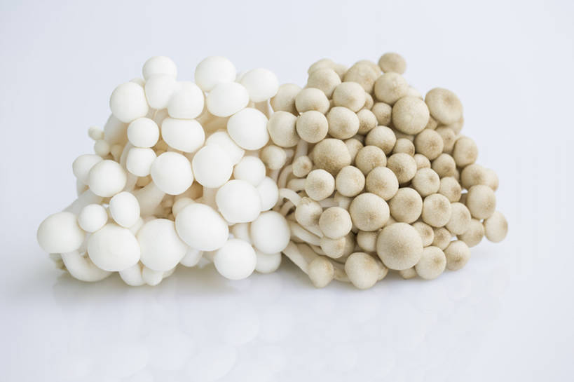 无人,横图,特写,留白,抠图,蔬菜,静物,北京,中国,亚洲,准备,灰色背景,丰富,材料,蘑菇,生食,美味,食品,饮品,营养,饮食,餐饮,食物,饮料,健康,素食,食用菌,摄影,有机食品,维生素,真菌,膳食,可口,清新,东亚,健康食物,姬菇,适口,蟹味菇,彩图,影棚拍摄,白玉菇,bj175