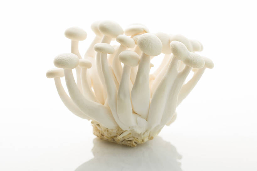 无人,横图,特写,留白,抠图,白色背景,蔬菜,静物,北京,中国,亚洲,许多,准备,丰富,反射,材料,蘑菇,生食,美味,食品,饮品,很多,营养,干净,饮食,餐饮,食物,饮料,白色,健康,素食,食用菌,摄影,有机食品,维生素,真菌,膳食,可口,清新,东亚,健康食物,姬菇,适口,彩图,影棚拍摄,白玉菇,bj175