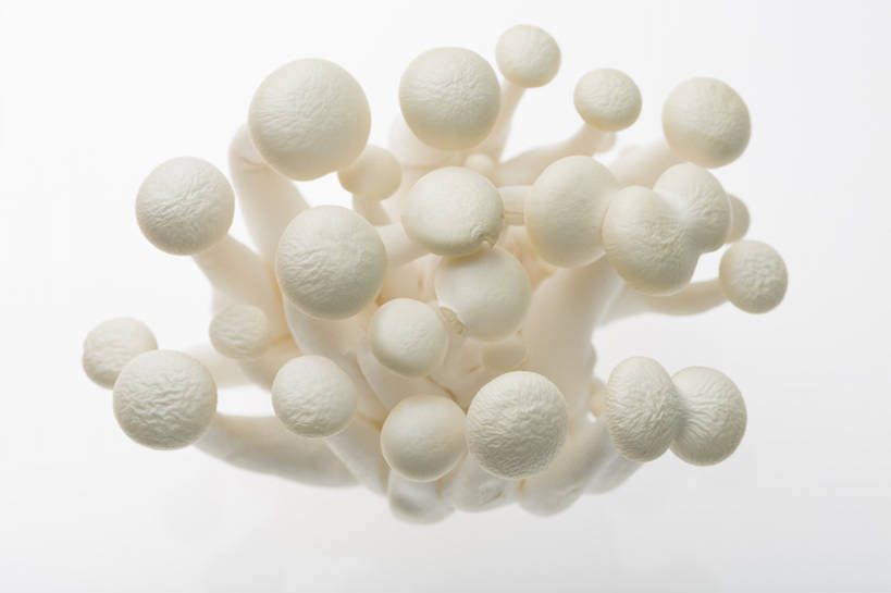 无人,横图,俯视,特写,留白,抠图,蔬菜,静物,北京,中国,亚洲,许多,准备,灰色背景,丰富,材料,蘑菇,生食,美味,食品,饮品,很多,营养,干净,饮食,餐饮,食物,饮料,白色,健康,素食,食用菌,摄影,有机食品,维生素,真菌,膳食,可口,清新,东亚,健康食物,姬菇,适口,彩图,影棚拍摄,白玉菇,bj175