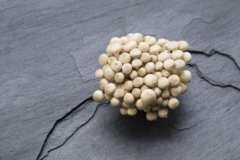 无人,横图,俯视,特写,留白,蔬菜,静物,北京,中国,亚洲,准备,灰色背景,丰富,破碎,材料,蘑菇,生食,美味,食品,饮品,营养,饮食,餐饮,食物,饮料,健康,素食,食用菌,摄影,有机食品,维生素,破裂,真菌,膳食,可口,清新,东亚,健康食物,姬菇,板岩,适口,蟹味菇,彩图,影棚拍摄,bj175