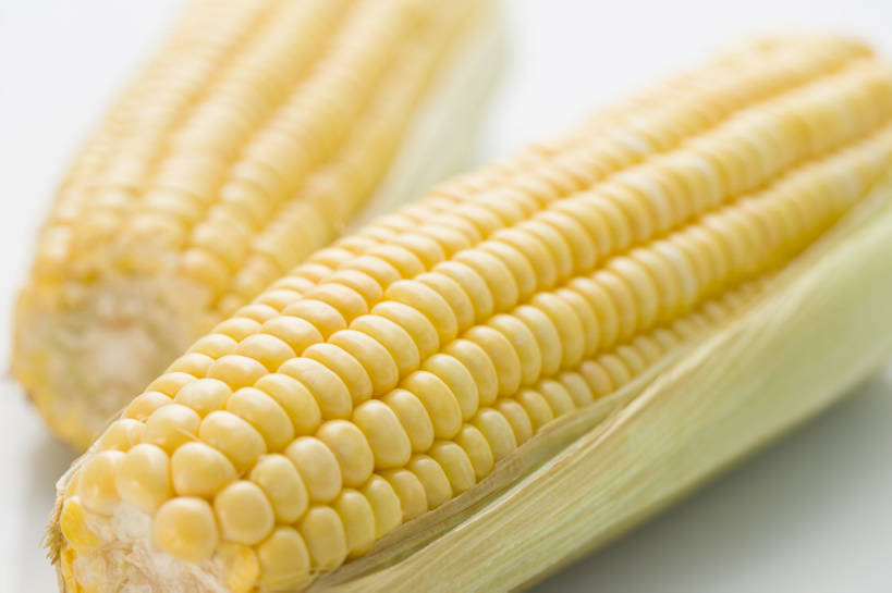 无人,横图,特写,留白,抠图,农作物,玉米,蔬菜,静物,北京,中国,亚洲,准备,灰色背景,材料,生食,美味,食品,饮品,营养,饮食,餐饮,食物,饮料,两个,黄色,削皮,健康,素食,摄影,有机食品,维生素,膳食,可口,清新,玉米棒,东亚,健康食物,适口,去皮,彩图,影棚拍摄,甜玉米,bj175