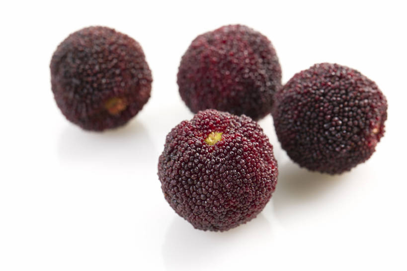 无人,横图,特写,留白,抠图,白色背景,静物,水果,北京,中国,亚洲,美味,食品,饮品,营养,饮食,食物,饮料,红色,四个,健康,素食,成熟,酸,摄影,杨梅,有机食品,维生素,可口,清新,东亚,健康食物,适口,彩图,影棚拍摄,bj175