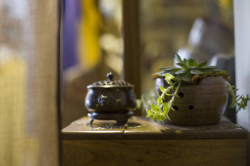 无人,横图,白天,植物,静物,雕塑,北京,中国,亚洲,艺术,装饰,雕刻,雕像,盆栽,香炉,盆景,古典,传统,树叶,绿色,自然,工艺品,摄影,生长,成长,古董,纪念,美术,清新,主题,古典风格,陈列,东亚,熏香炉,功能,美学,彩图,多肉植物,bj175