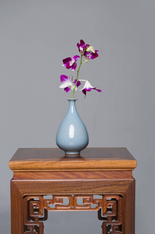 无人,竖图,留白,复古,家具,桌子,蝴蝶兰,静物,花瓶,北京,中国,亚洲,灰色背景,装饰,木制,雕刻,古典,传统,花,摄影,古董,高雅,优美,风格,中国文化,古典风格,东亚,蝶兰,兰中皇后,兰花,彩图,影棚拍摄,兰花之后,台湾蝴蝶兰,传统文化,青瓷,明式家具,bj175
