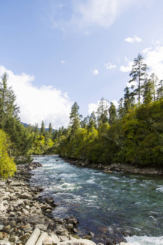 无人,竖图,室外,白天,旅游,度假,河流,石头,美景,森林,水,植物,中国,亚洲,波纹,透明,地形,河岸,景观,流水,水面,云,河床,娱乐,干净,林芝,西藏,树,蓝色,绿色,风景,天空,小溪,自然,享受,休闲,景色,放松,茂密,摄影,流动,茂盛,宁静,环境,清新,自然风光,东亚,西藏自治区,地貌,青藏高原,地质学,自然地理,岩石,彩图,旅行,广角,南伊沟,bj175