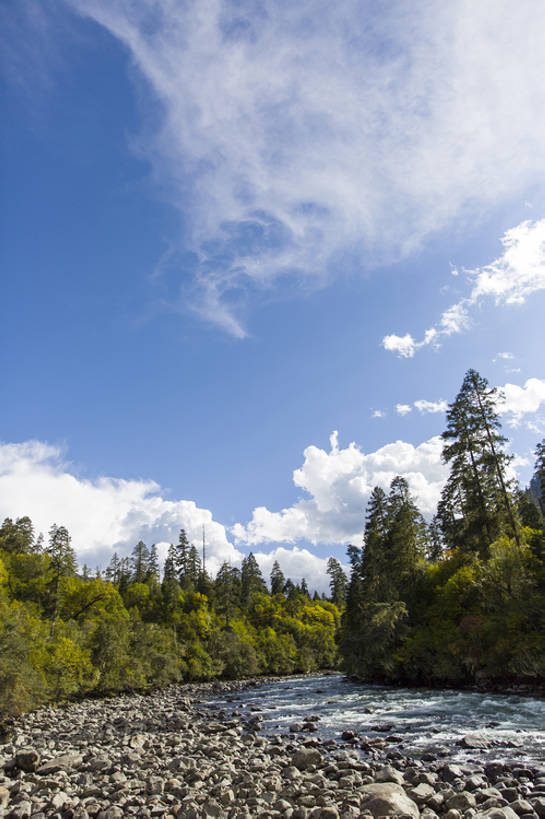 无人,竖图,室外,白天,旅游,度假,河流,石头,美景,森林,水,植物,日光,中国,亚洲,波纹,透明,反射,地形,河岸,景观,流水,水面,云,河床,娱乐,干净,林芝,西藏,树,蓝色,绿色,风景,天空,小溪,自然,享受,休闲,景色,放松,茂密,摄影,流动,茂盛,宁静,环境,清新,自然风光,东亚,西藏自治区,地貌,青藏高原,地质学,自然地理,岩石,彩图,旅行,广角,南伊沟,bj175